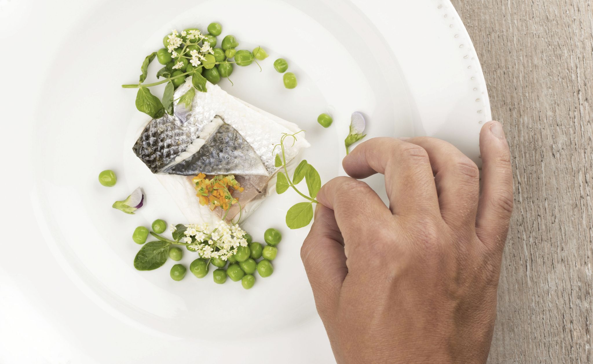 Photographie culinaire plat